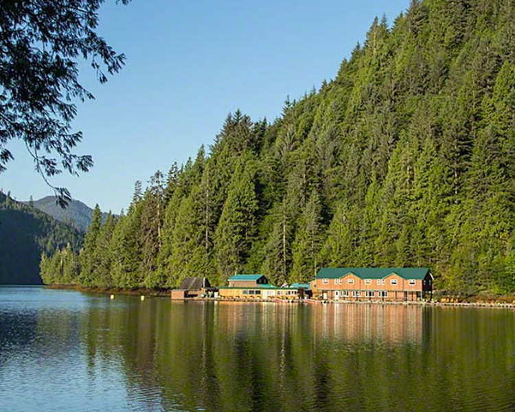 Great Bear Lodge Experience